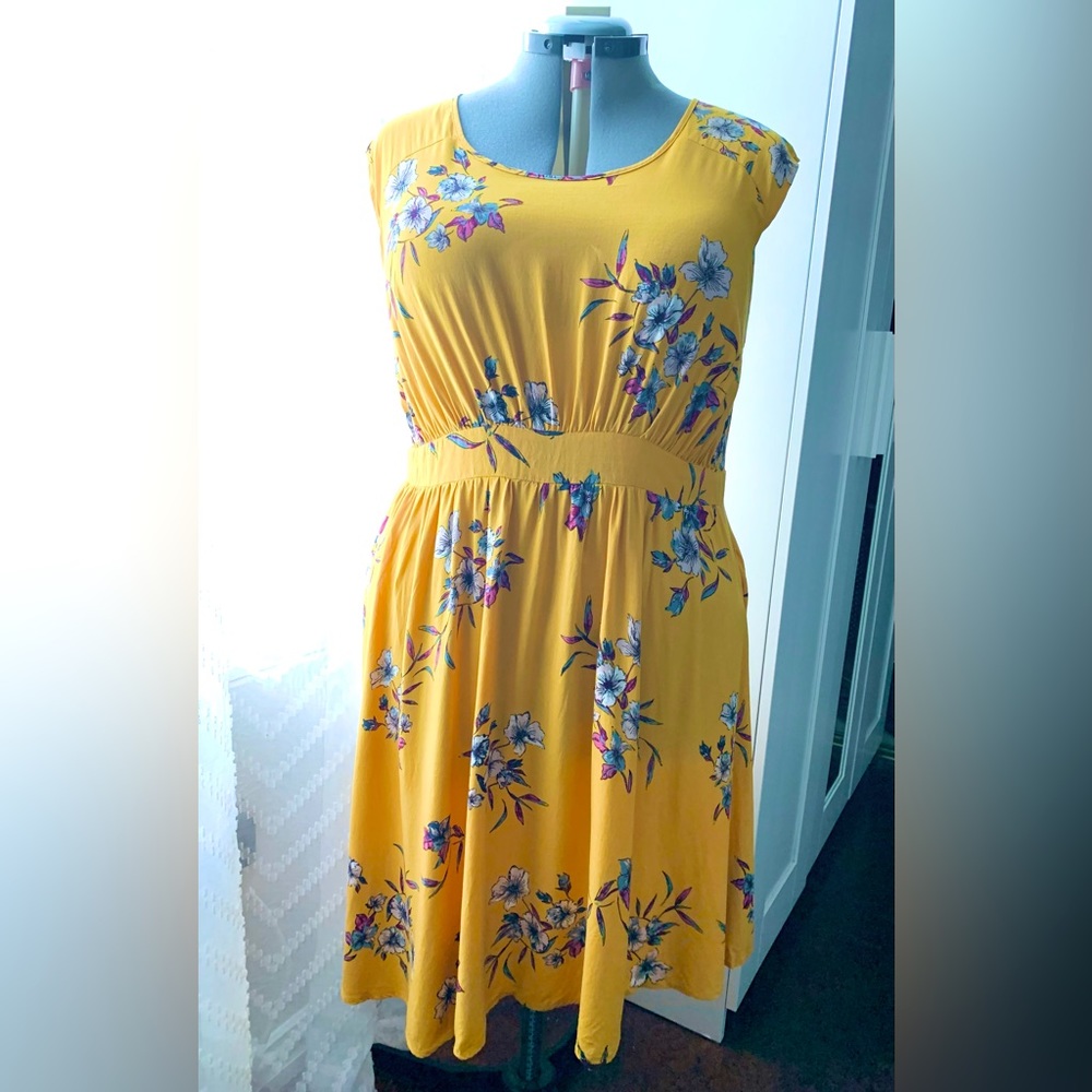 Torrid size 1 (14/16)